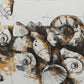 Peter Caspary (1995) Maritimes Muschel Motiv Signierte Grafik
