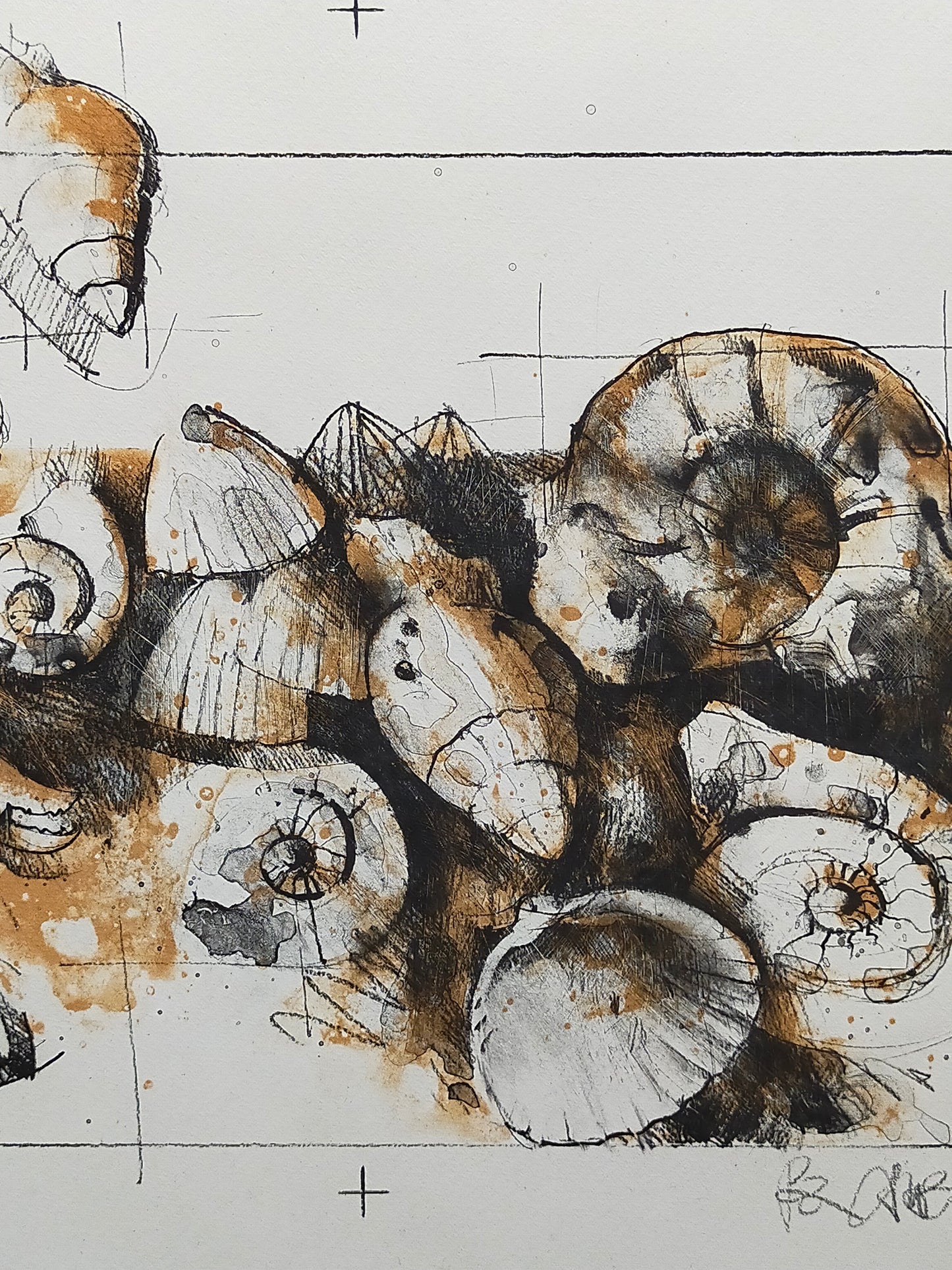 Peter Caspary (1995) Maritimes Muschel Motiv Signierte Grafik
