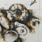 Peter Caspary (1995) Maritimes Muschel Motiv Signierte Grafik