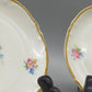 Krautheim Selb Bavaria 6er Set Teller Elegantes Blumendesign