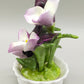 Edle Radnor Porzellan Blumen aus England