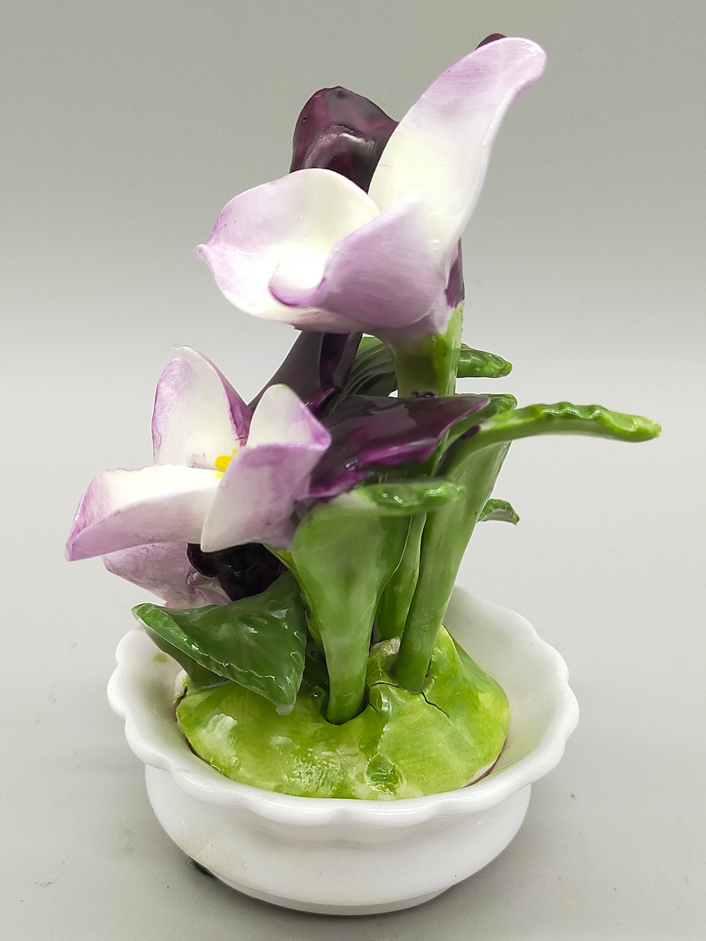 Edle Radnor Porzellan Blumen aus England