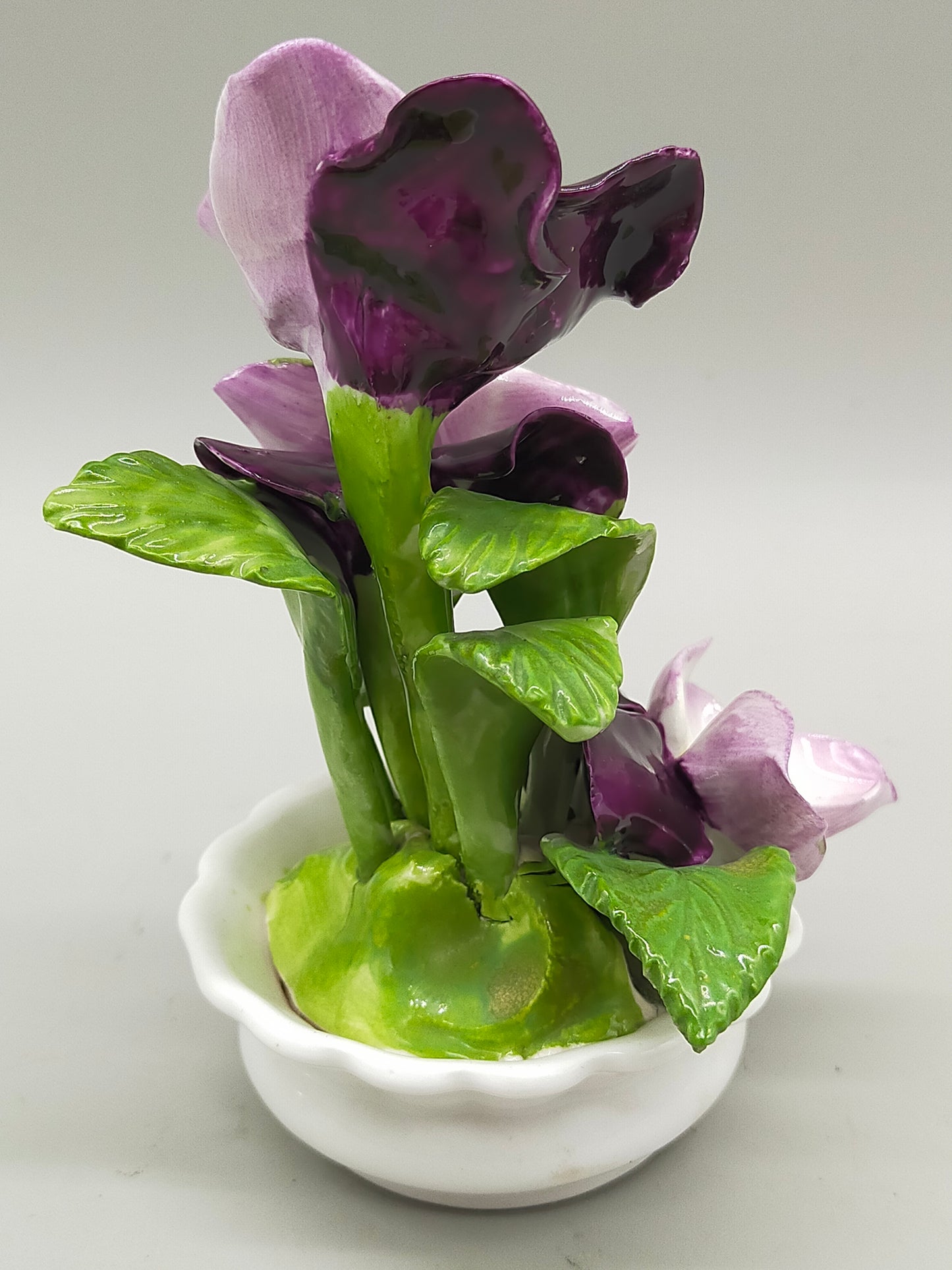Edle Radnor Porzellan Blumen aus England
