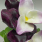 Edle Radnor Porzellan Blumen aus England