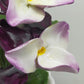 Edle Radnor Porzellan Blumen aus England