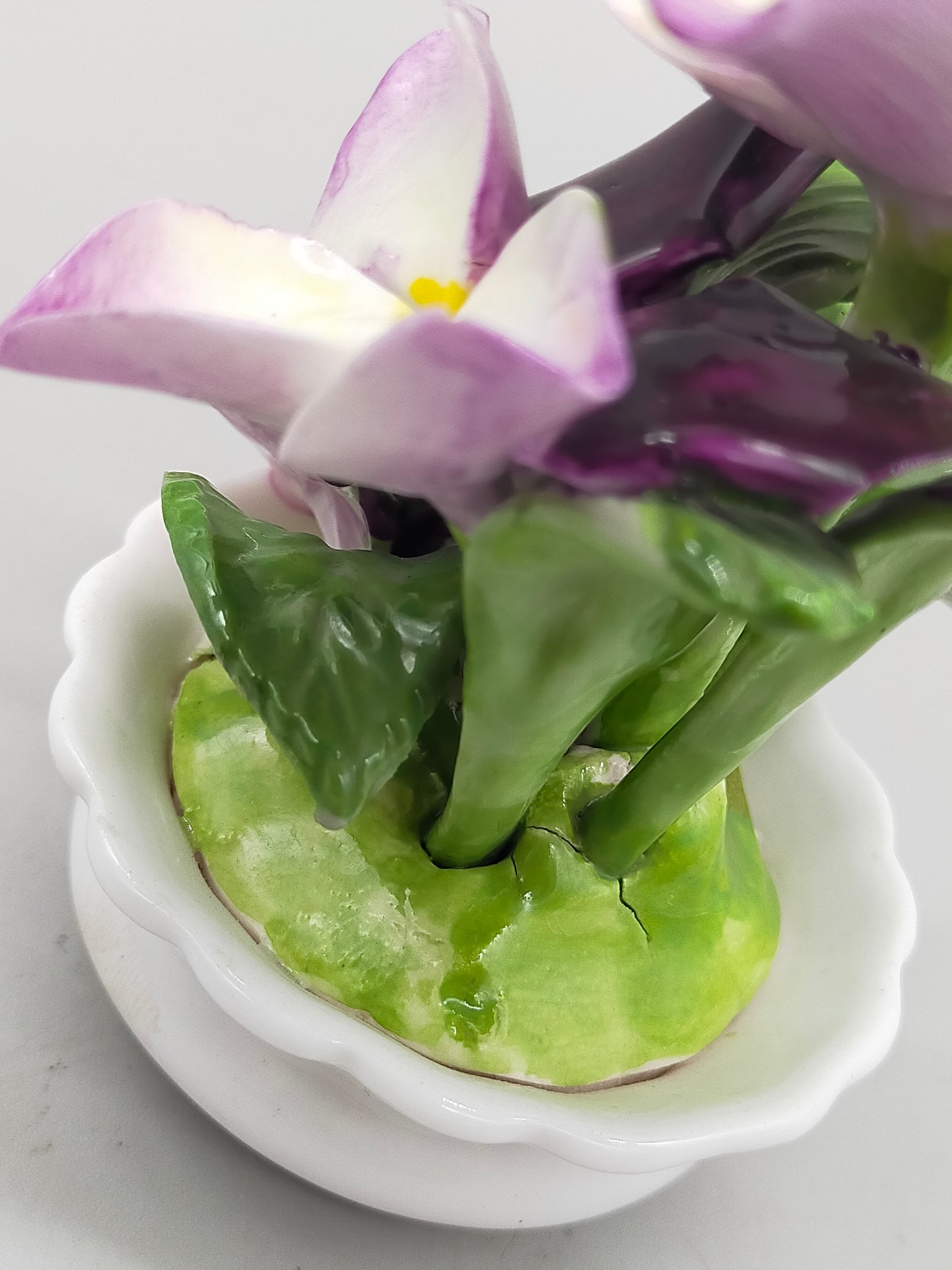 Edle Radnor Porzellan Blumen aus England