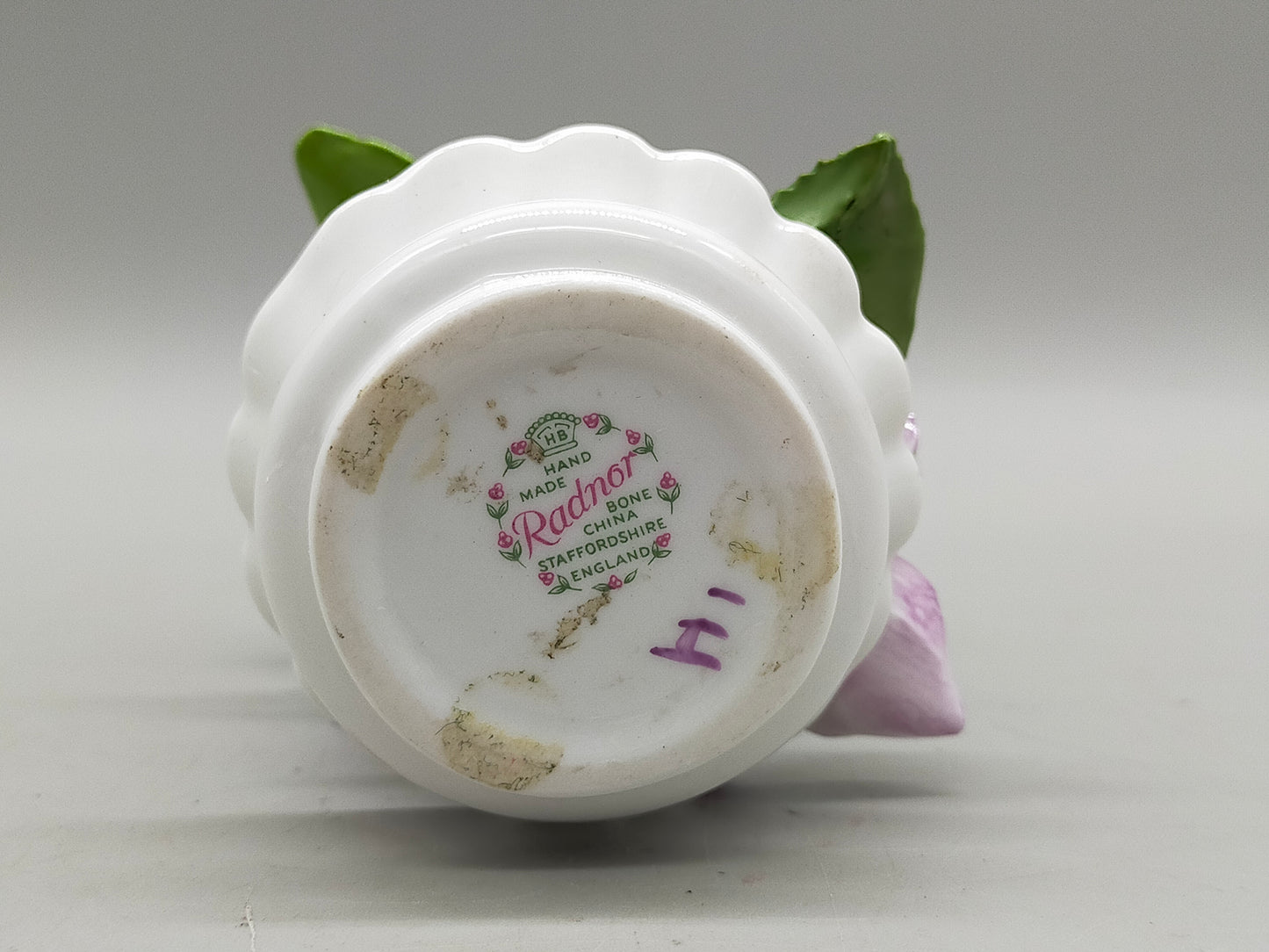 Edle Radnor Porzellan Blumen aus England