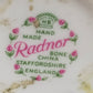 Edle Radnor Porzellan Blumen aus England