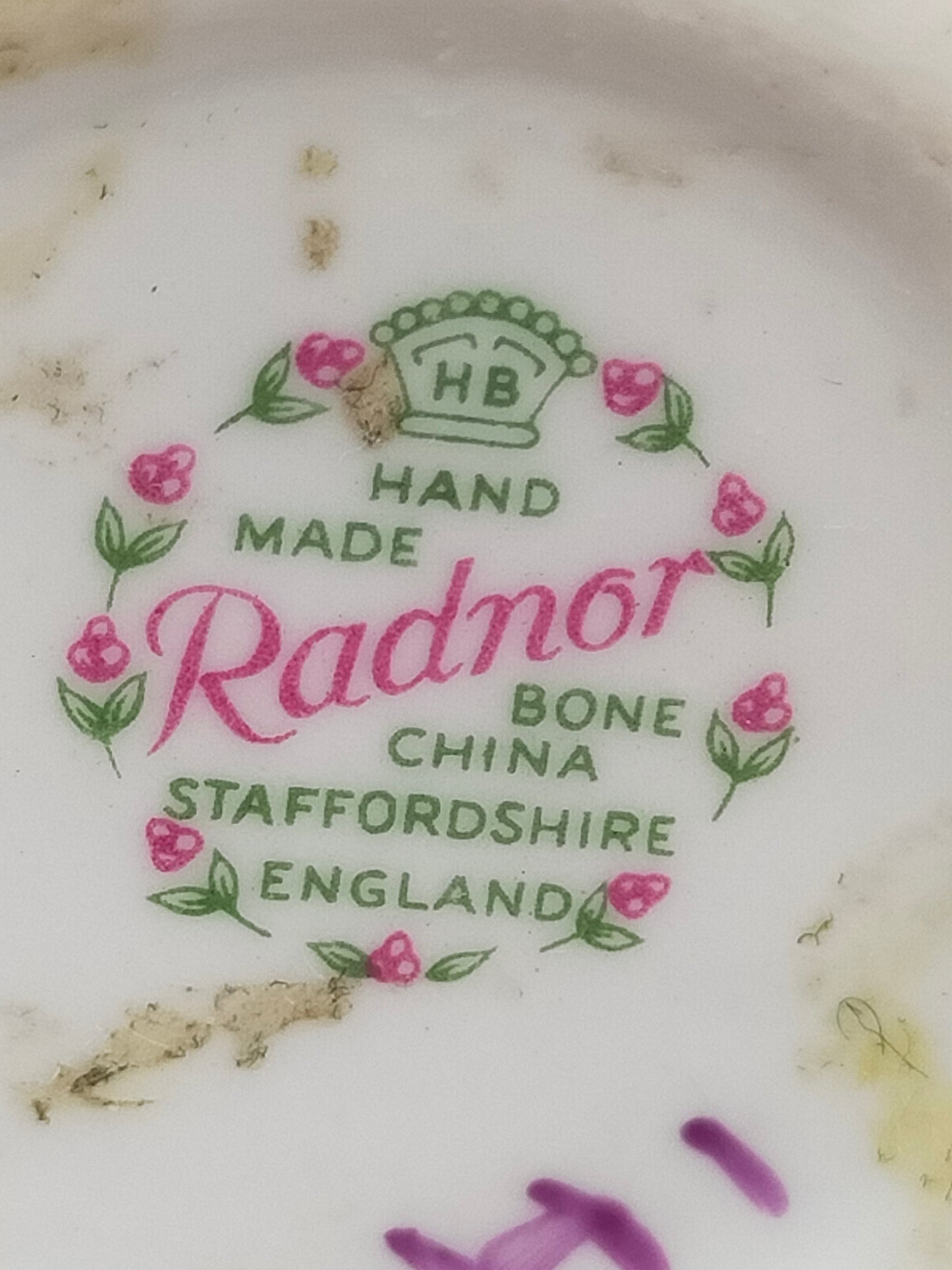Edle Radnor Porzellan Blumen aus England