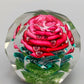Edler Briefbeschwerer mit roter Rose Facettiertes Glas