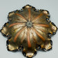 Antike Schale im Jugendstil Florale Bronze Optik Dekorschale