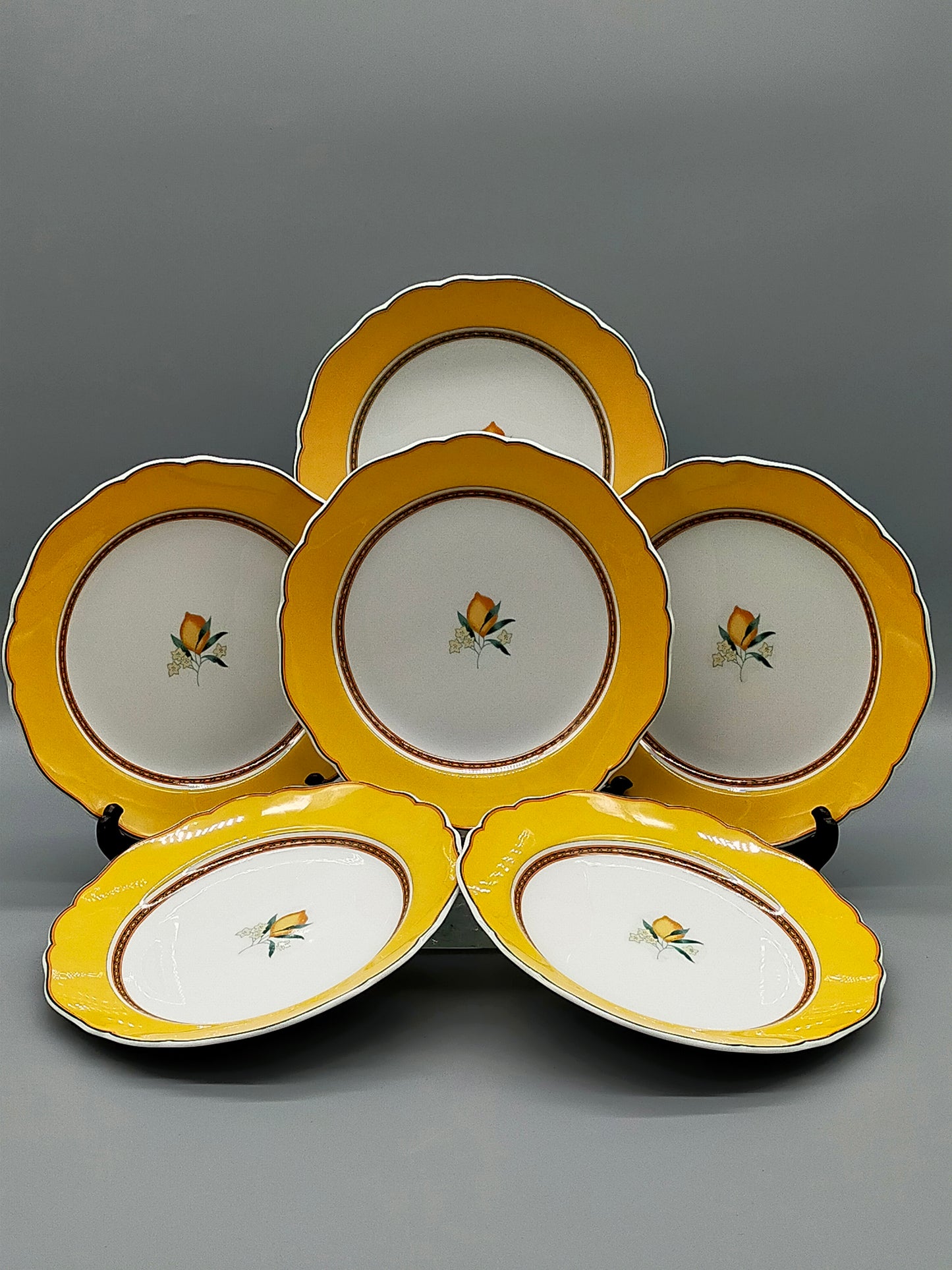 Hutschenreuther Medley Alfabia Tierra Teller Set ZitronenDekor