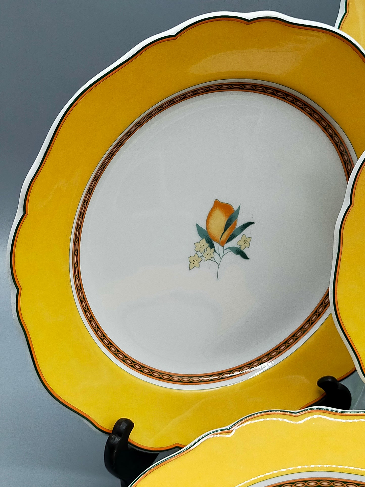 Hutschenreuther Medley Alfabia Tierra Teller Set ZitronenDekor