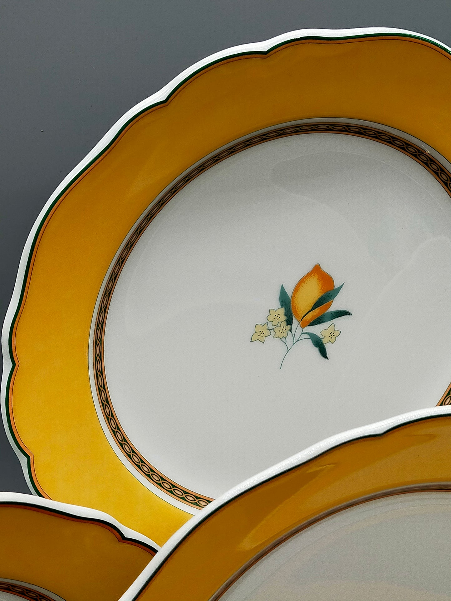 Hutschenreuther Medley Alfabia Tierra Teller Set ZitronenDekor