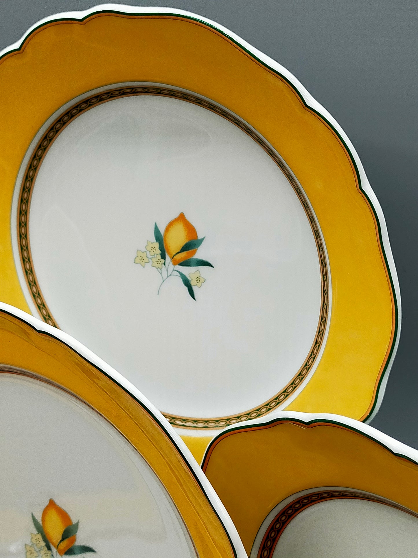 Hutschenreuther Medley Alfabia Tierra Teller Set ZitronenDekor