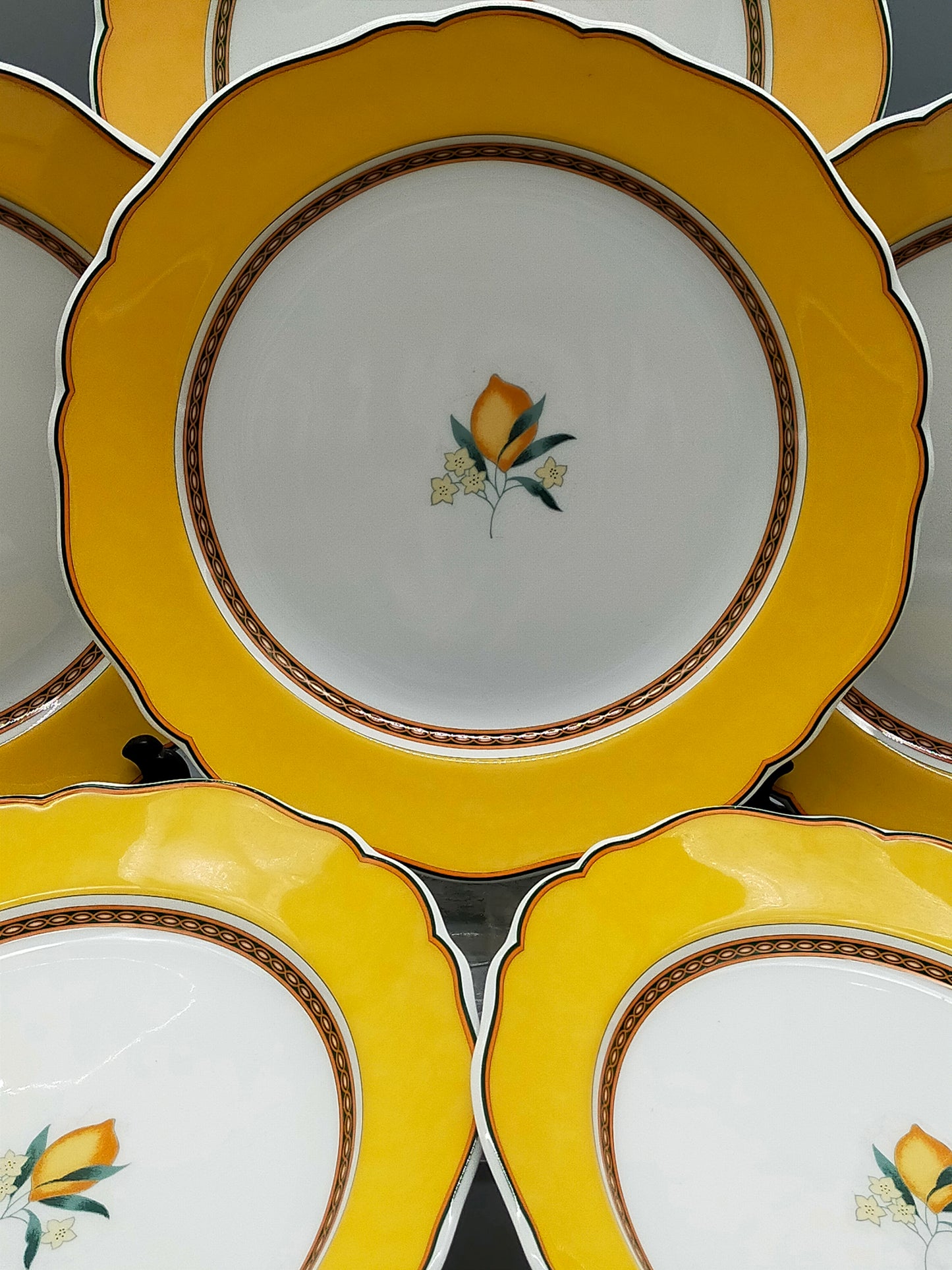Hutschenreuther Medley Alfabia Tierra Teller Set ZitronenDekor
