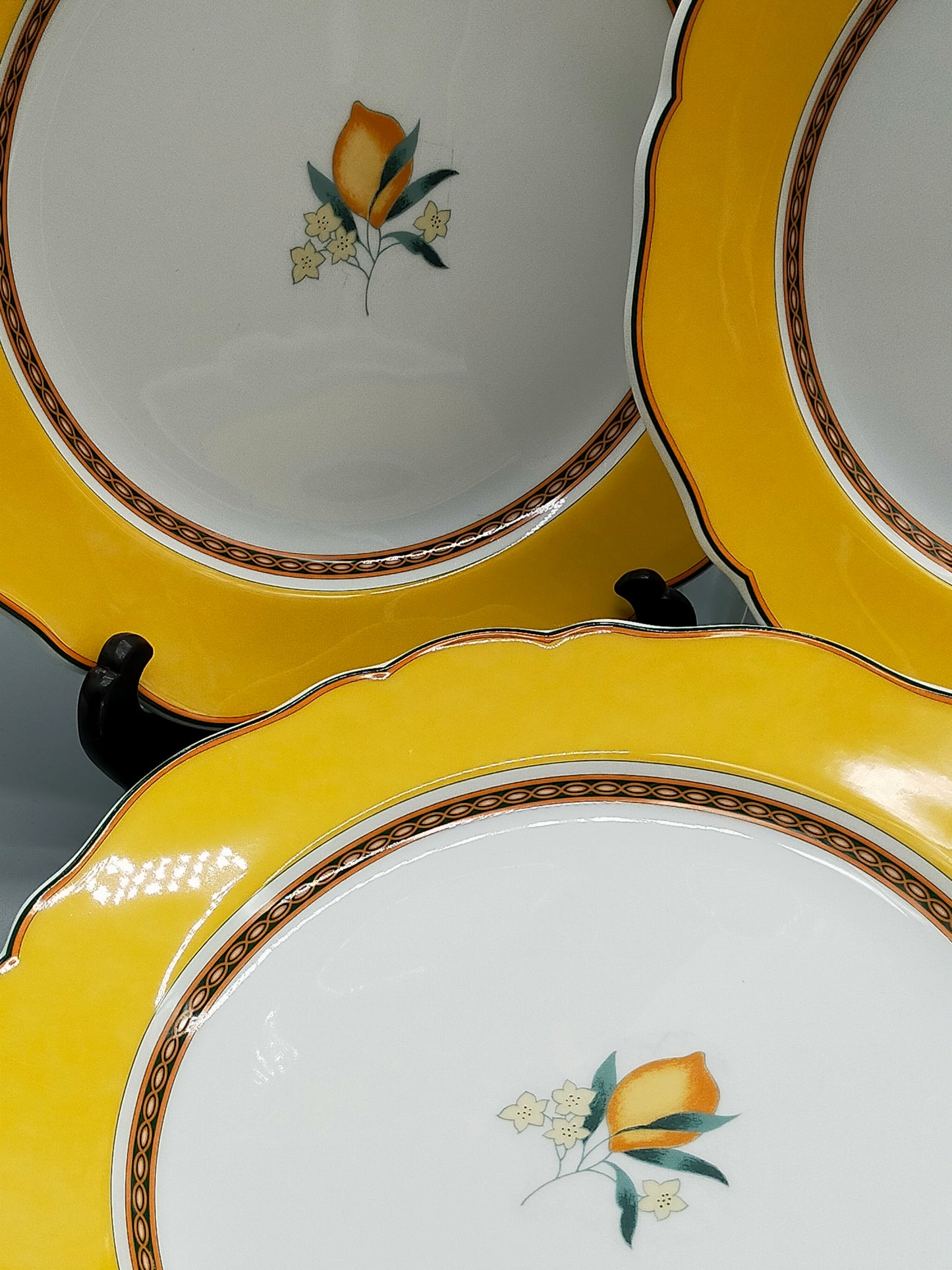 Hutschenreuther Medley Alfabia Tierra Teller Set ZitronenDekor