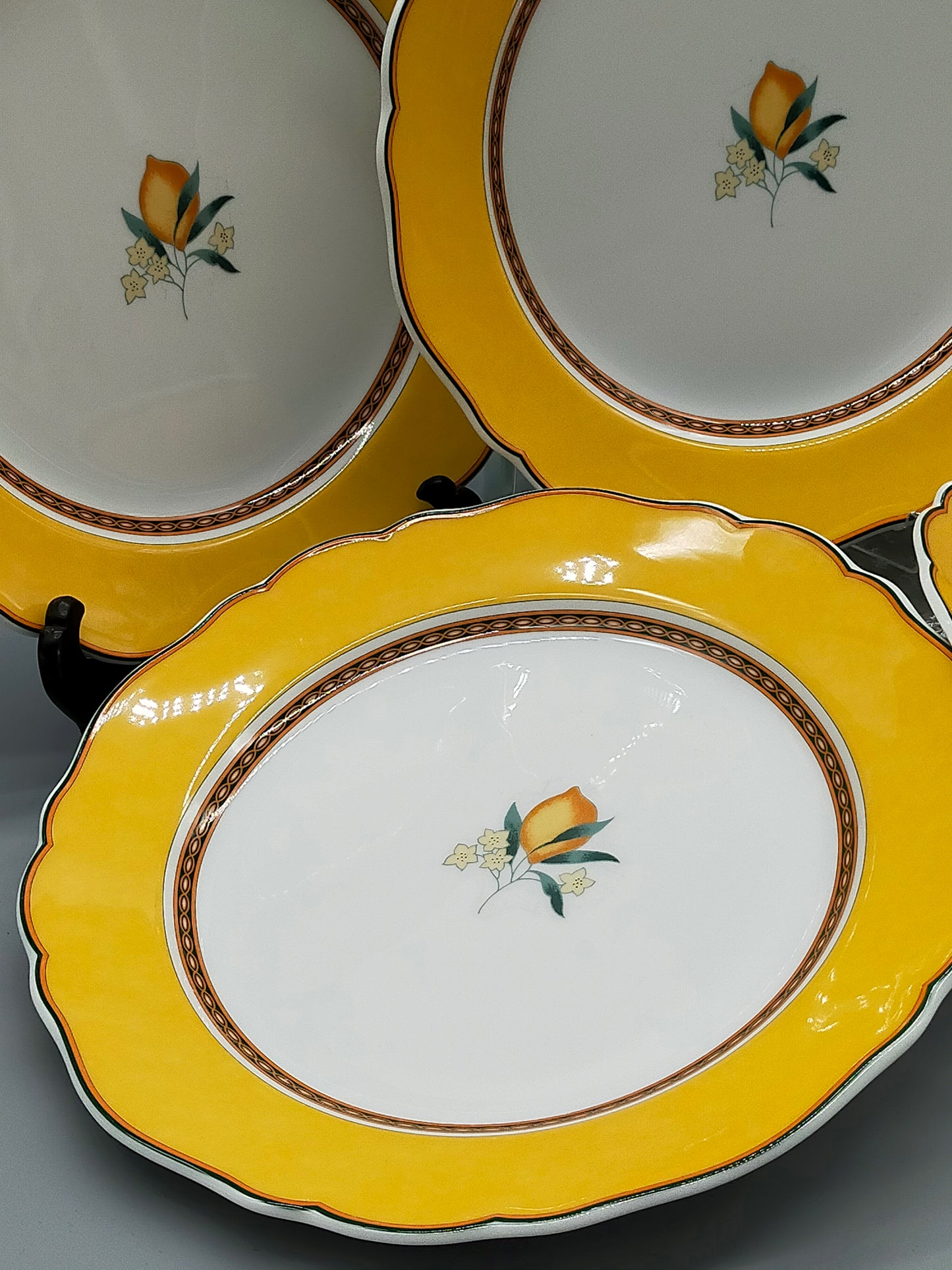 Hutschenreuther Medley Alfabia Tierra Teller Set ZitronenDekor
