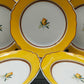 Hutschenreuther Medley Alfabia Tierra Teller Set ZitronenDekor