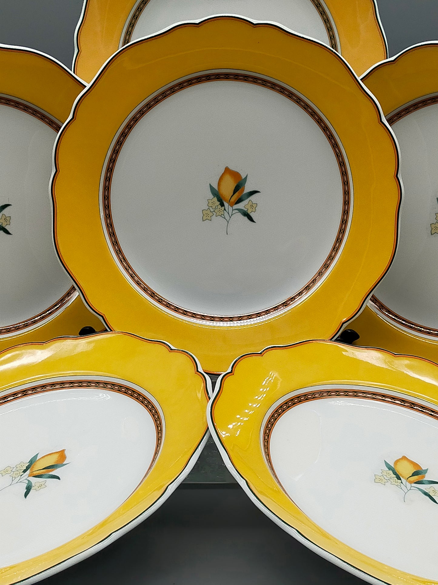 Hutschenreuther Medley Alfabia Tierra Teller Set ZitronenDekor