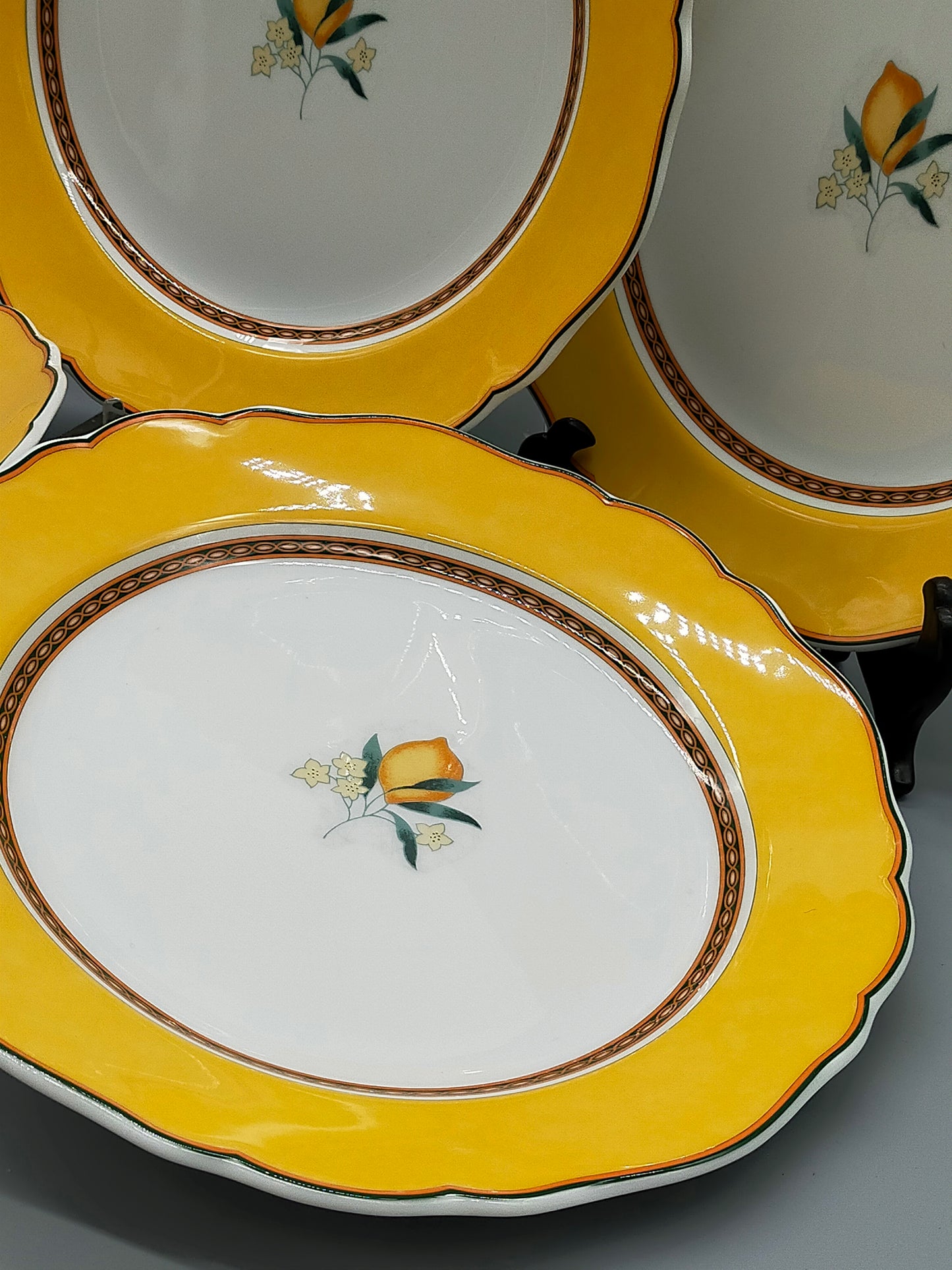 Hutschenreuther Medley Alfabia Tierra Teller Set ZitronenDekor