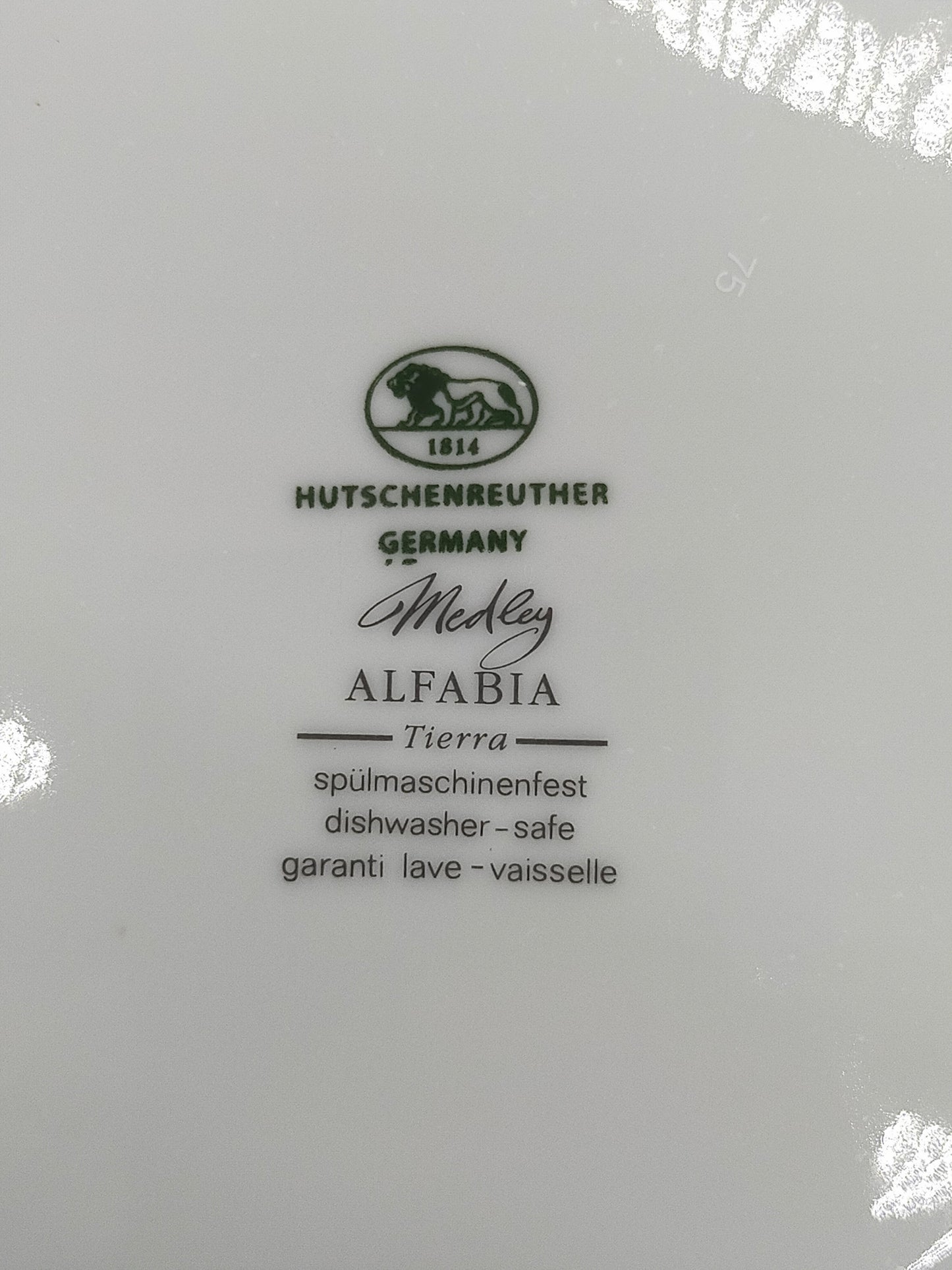 Hutschenreuther Medley Alfabia Tierra Teller Set ZitronenDekor