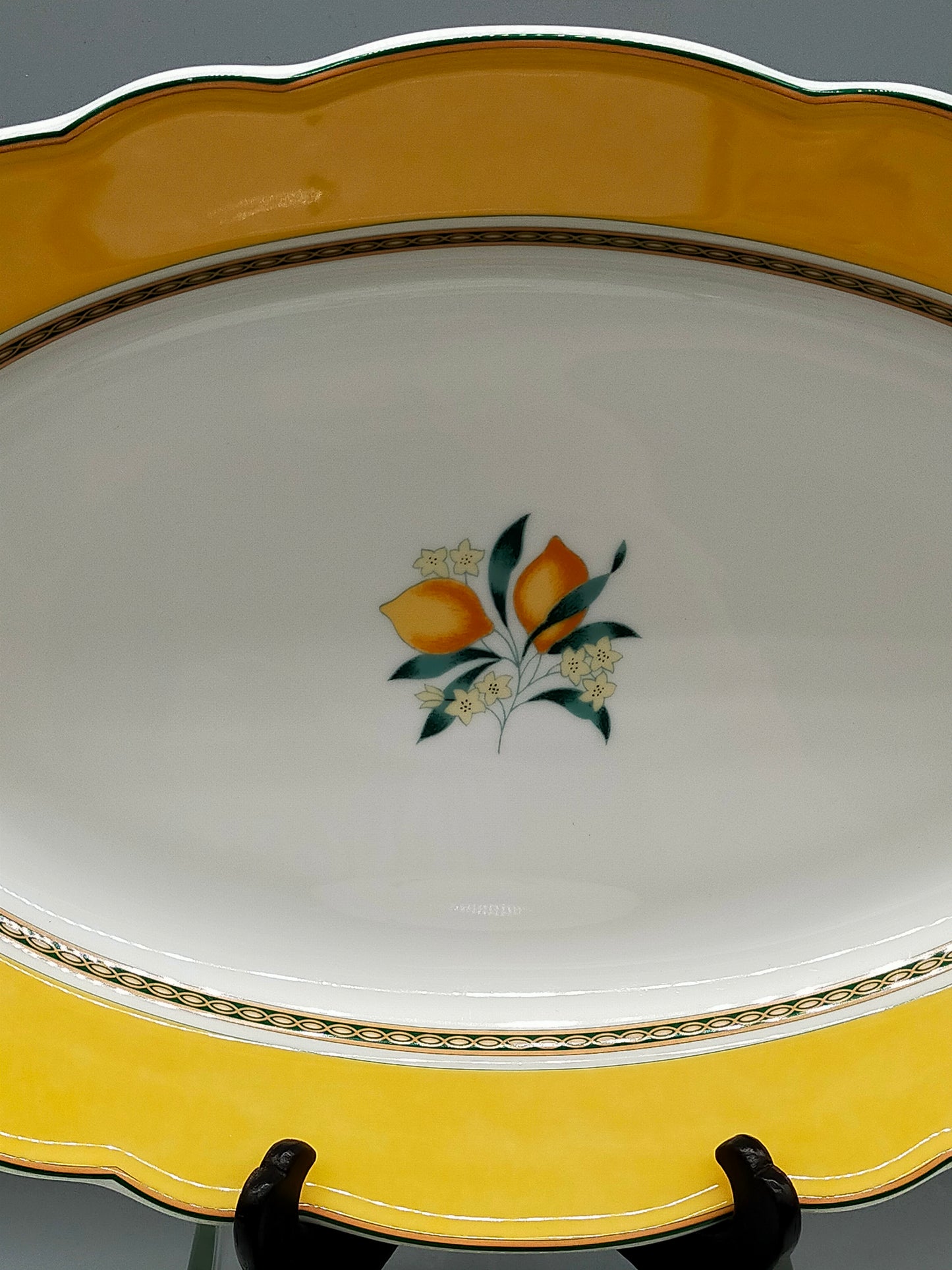 Hutschenreuther Medley Alfabia Geschirr Set Zitronen-Design