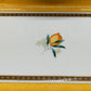 Hutschenreuther Medley Alfabia Geschirr Set Zitronen-Design