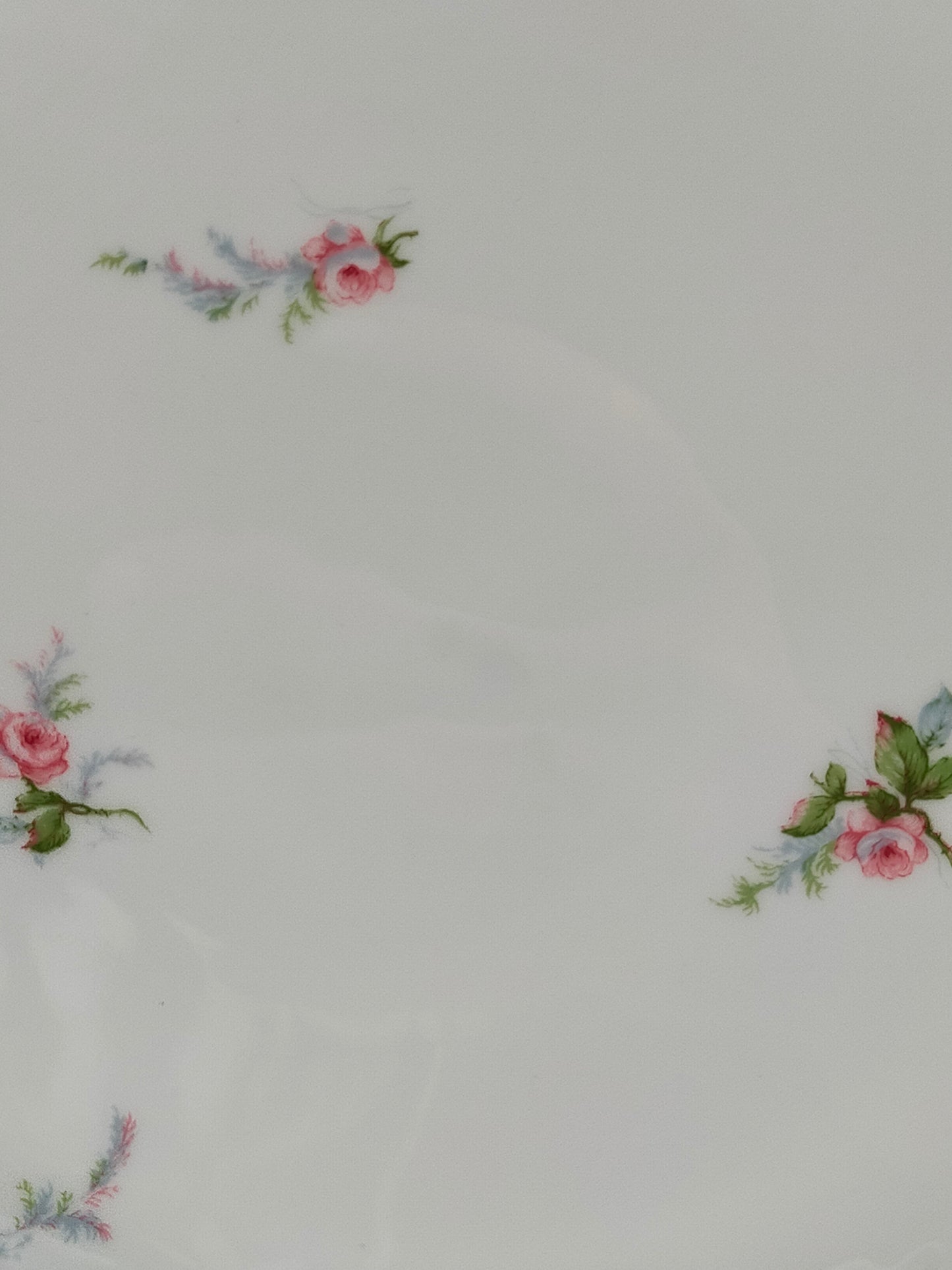 Edler Haviland Limoges Teller mit Rosen Elegantes Porzellan