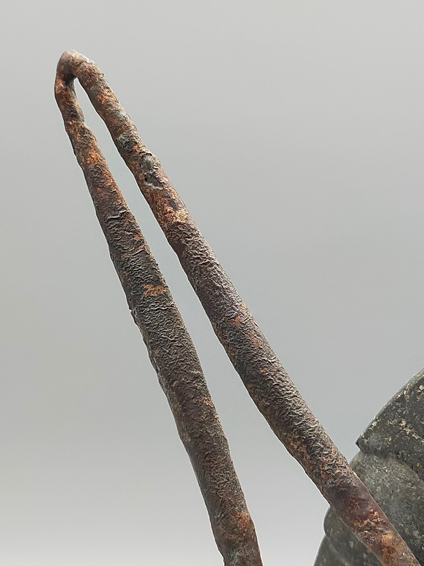 Moderne Heuschrecken Skulptur aus Metall - Kupfer Künstler AR