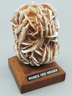 Faszinierende Rose des Neiges Mineralien Stufe
