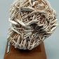 Faszinierende Rose des Neiges Mineralien Stufe