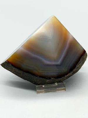 Polierte Achat Scheibe Natürliches Mineral Segment