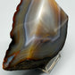 Polierte Achat Scheibe Natürliches Mineral Segment