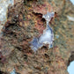 Faszinierende Amethyst Druse Rosa Kristalle im natürlichen