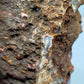 Faszinierende Amethyst Druse Rosa Kristalle im natürlichen