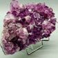 Prachtvolle Amethyst Druse Große Kristallstufe in intensivem Violett