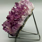 Prachtvolle Amethyst Druse Große Kristallstufe in intensivem Violett