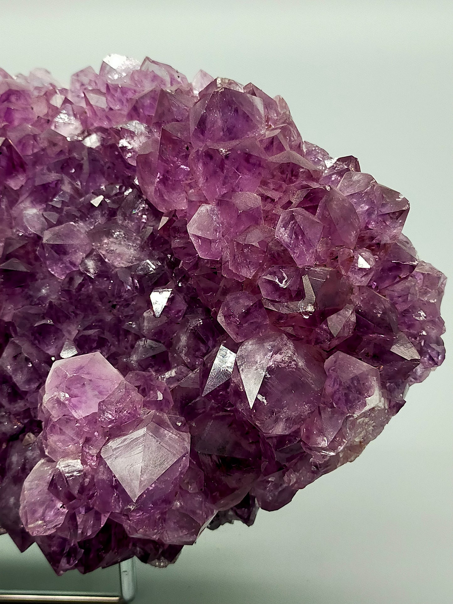Prachtvolle Amethyst Druse Große Kristallstufe in intensivem Violett