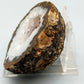 Eindrucksvolle Mineralien Druse – Natürliche Amethyst Geode