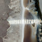 Wunderschöne Amethyst Druse Naturbelassener Kristall Geode