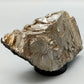 Faszinierende Markasit Stufe Metallisch glänzendes Mineral
