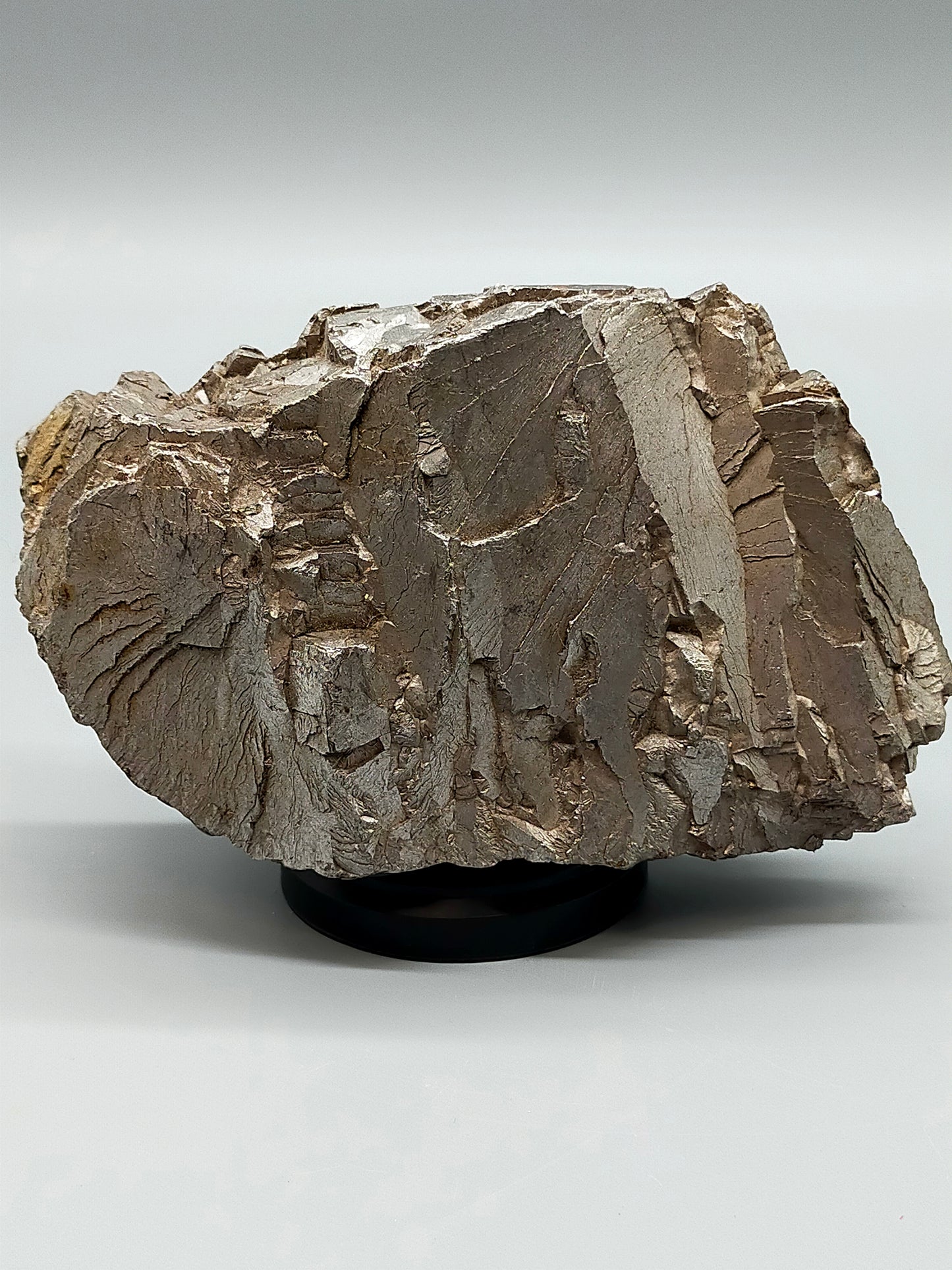 Faszinierende Markasit Stufe Metallisch glänzendes Mineral