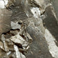 Faszinierende Markasit Stufe Metallisch glänzendes Mineral
