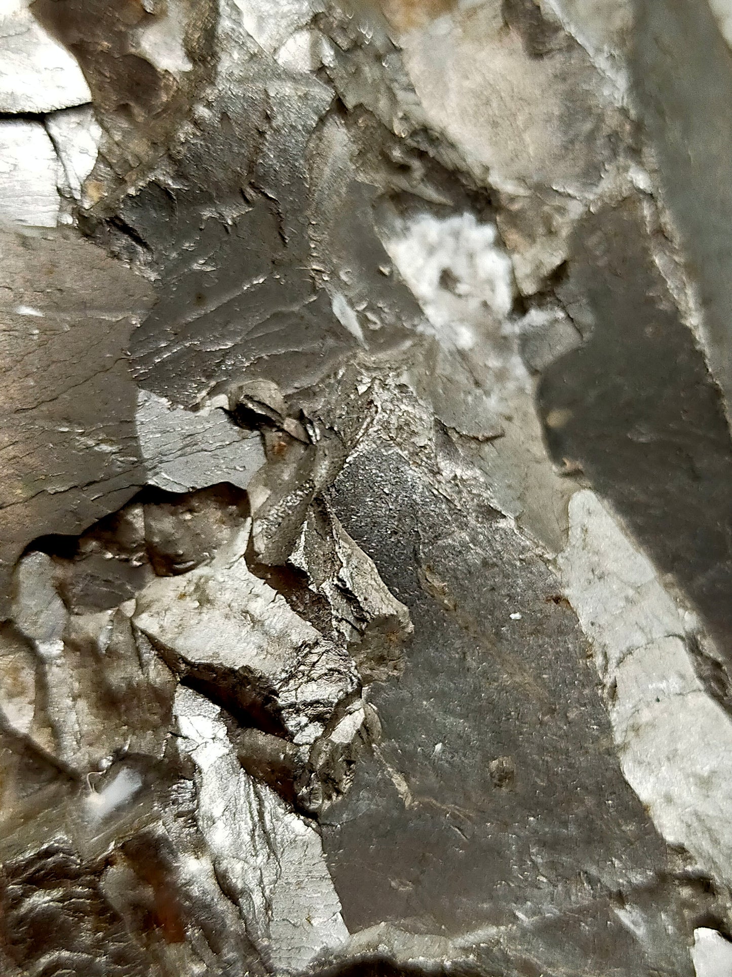 Faszinierende Markasit Stufe Metallisch glänzendes Mineral