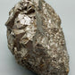 Große Pyrit Stufe Naturbelassenes Mineral