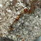 Große Pyrit Stufe Naturbelassenes Mineral