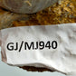 Fossile Muscheln Beeindruckendes Natur Kunstwerk