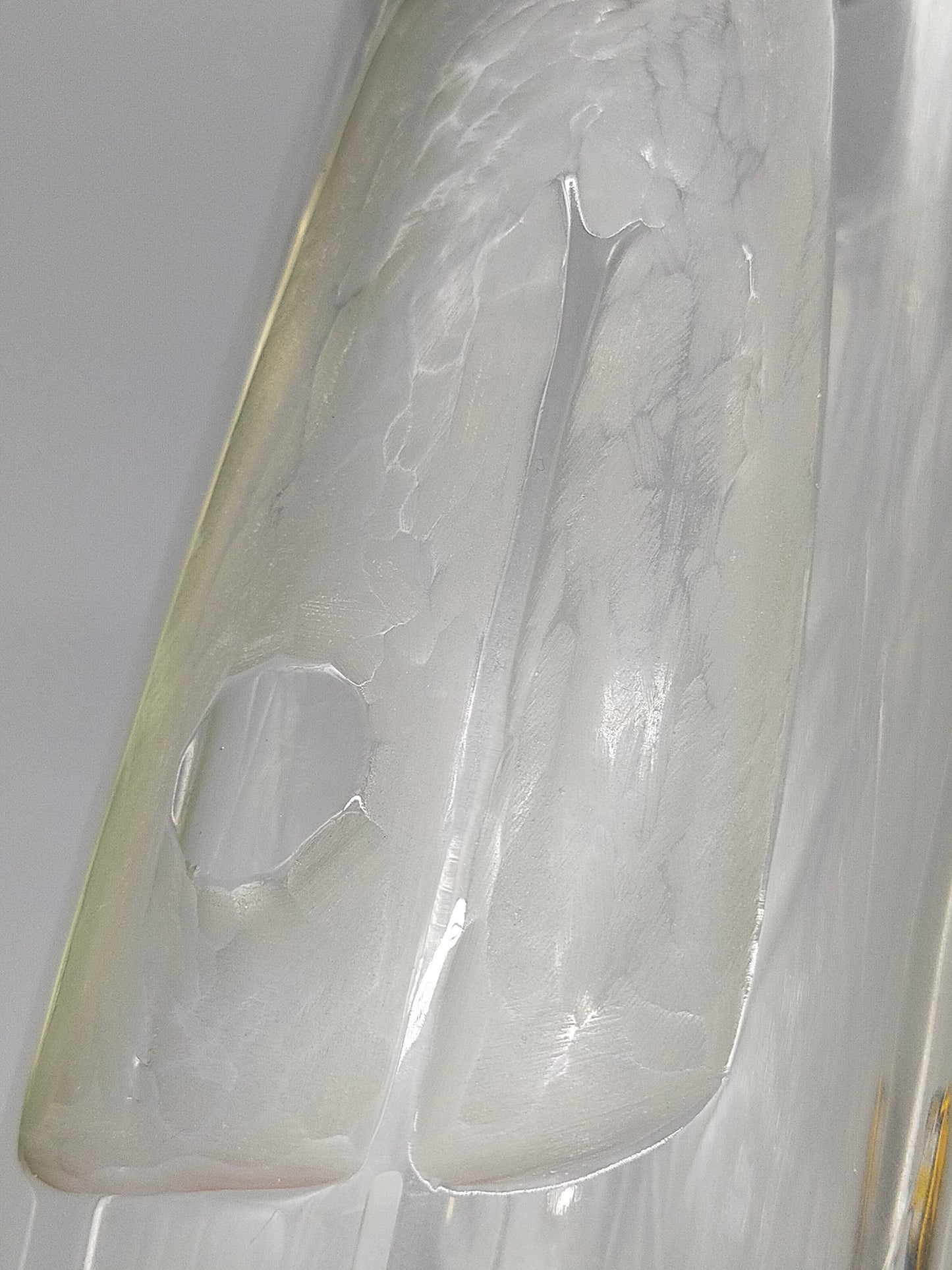 Elegante Glas Vase in Zylinderform Schlankes Design