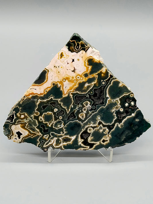 Faszinierender Ozean Jaspis Anschliff Farbintensiver Orbicular Jasper